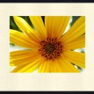 Framed 11x14 Art Photo Print Wall Decor Abstract new