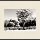 Framed 11x14 Art Photo Print Wall Decor Abstract new