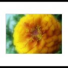 Framed 11x14 Art Photo Print Wall Decor Abstract new