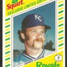 KANSAS CITY ROYALS DENNIS LEONARD 1982 SQUIRT # 10