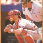 10 diff St Louis Cardinals Pinup Photos Stan Musial Ozzie Smith Mark McGwire Bob Gibson