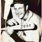 7 diff St Louis Cardinals Pinup Photos Stan Musial Ozzie Smith Mark McGwire