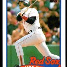 Boston Red Sox Jim Rice (HOF 2009) 1989 Topps Baseball Card #245 nr mt Boston Red Sox Jim Rice (HOF 2009) 1989 Topps Baseball Card #245 nr mt