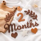 Soft Felt Baby Milestone Cards - 0-12 Months, Newborn Photography Accessories & Birth Gift