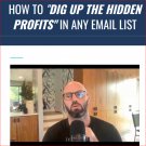 Justin Goff – How To “Dig Up” The Hidden Profits In Any Email List