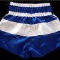 Twins Muay Thai boxing shorts rare Honduran flag Large