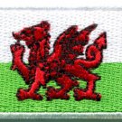 Flag of Wales Welsh red dragon celtic goth applique iron-on patch Medium S-383