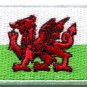 Flag of Wales Welsh red dragon celtic goth applique iron-on patch Medium S-383