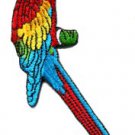Parrot parakeet makaw toucan cockatoo polly bird applique iron-on patch S-207