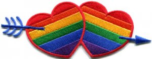 Gay lesbian pride rainbow flag love hearts LGBT applique iron-on patch S-138