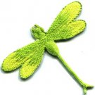 Dragonfly dragon fly insect fun retro sew sewing applique iron-on patch S-422