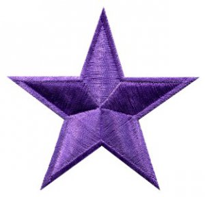 Star hippie 70's retro boho disco fab superstar applique iron-on patch S-151