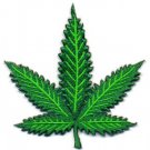 Pot leaf marijuana hippie weed biker applique iron-on patch Small S-389 WE SHIP ANYWHERE FOR FREE!