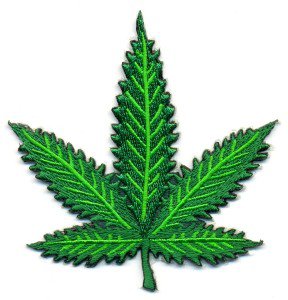 Pot leaf marijuana hippie weed biker applique iron-on patch Small S-389 WE SHIP ANYWHERE FOR FREE!