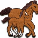 Horse colt bronco filly mustang pony stallion steed applique iron-on patch S-559