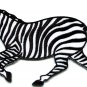 Zebra african equid wild horse safari wildlife applique iron-on patch S-581