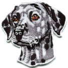 Dalmatian dog canine hound pup puppy cur pet animal applique iron-on patch S-586