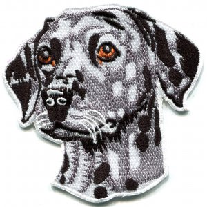 Dalmatian dog canine hound pup puppy cur pet animal applique iron-on patch S-586