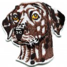 Dalmatian dog canine hound pup puppy cur pet animal applique iron-on patch S-585
