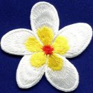 Plumeria flower dogbane boho retro sew sewing applique iron-on patch new S-516