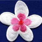 Plumeria flower dogbane boho retro sew sewing applique iron-on patch new S-695