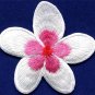 Plumeria flower dogbane boho retro sew sewing applique iron-on patch new S-695