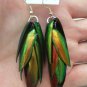 Exotic real Thai jewel beetle bug insect wings iridescent red green earrings new