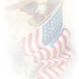 American flag U.S. United States applique iron-on patch BIG 7.75 x 11 in. S-1040