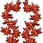 Burnt orange flowers floral boho granny chic applique iron-on patches pair S-978
