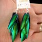 Exotic Thai jewel beetle bug insect wings iridescent blue green earrings new