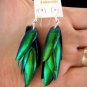 Exotic Thai jewel beetle bug insect wings iridescent blue green earrings new