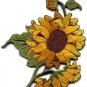 Sunflower flower granny chic retro boho sew sewing applique iron-on patch S-494