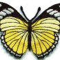 Butterfly hippie yellow embroidered iron-on patch S-161