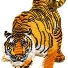 Tiger cat puma jaguar lion animal wildlife LARGE applique iron-on patch S-495