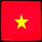Vietnam flag Vietnamese bandana handkerchief headwrap head wrap biker 20X20 in.