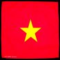 Vietnam flag Vietnamese bandana handkerchief headwrap head wrap biker 20X20 in.