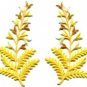 Fern flowers yellow gold pair floral applique iron-on patches new S-1153 WE SHIP ANYWHERE FOR FREE!