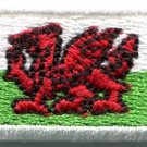 Flag of Wales Welsh red dragon celtic applique iron-on patch Small S-383 WE SHIP ANYWHERE FOR FREE!