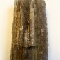 Petrified wood specimen
