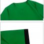 The Legend of Zelda: Skyward Sword Link Cosplay Costume Outfit