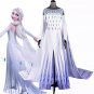Frozen Elsa Cosplay Costume Princess Elsa Cosplay Dress Halloween Princess Costume