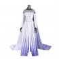 Frozen Elsa Cosplay Costume Princess Elsa Cosplay Dress Halloween Princess Costume