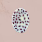 Lotion Bar 2.5 oz Handmade, Oval Shaped with Red Beans, Moisturize or Massage