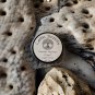 Shea Butter Sugar Scrub 4.5 oz, Handmade, Exfoliating, Moisturizing, Nourishing