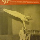 Gymnastik und Turnen