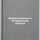 Yarovaya pshenitsa v Aktyubinskoy oblasti. In Russian/Spring wheat in Aktobe re