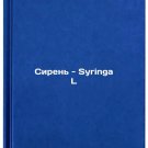 Siren' - Syringa L. In Russian /Lilacs - Syringa L
