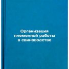 Organizatsiya plemennoy raboty v svinovodstve. In Russian