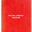 Koster ryabiny krasnoy. In Russian /Red Ripple Bonfire
