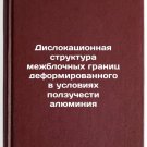 Dislokatsionnaya struktura mezhblochnykh granits deformirovannogo v usloviyak